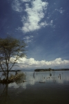 Lake Nayvasha