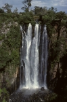 Thomson's Falls