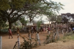 Masai market