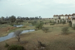 Salt Lick Lodge