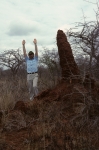 Anthill