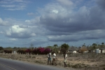 Road to Mombasa