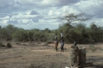 Road to Mombasa