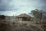 Road to Mombasa