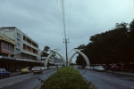 Crossed Tusks