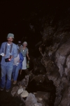 Lava tunnel