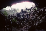 Lava tunnel