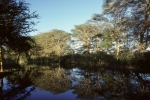 Early morning at Hunters' Lodge