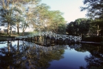 Early morning at Hunters' Lodge