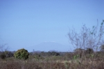 Mt. Kilimanjaro, Kenya side