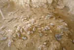 Ancient tools