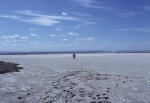 Lake Magadi - almost dry
