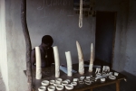Ivory dealer