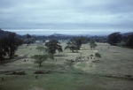 Country scene near Dar-es-Salaam
