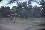 On the road to Ngoro-Ngoro crater