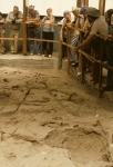 At Olduvai Gorge
