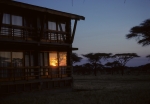 Sunrise on the Serengeti