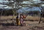 Roadside retail trade