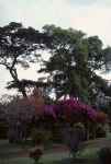At the hotel in Arusha