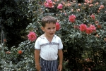 David