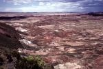 Painted Desert and Petrified Forest