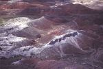 Painted Desert and Petrified Forest