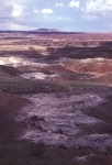 Painted Desert and Petrified Forest