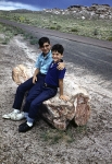 Painted Desert and Petrified Forest
