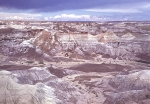 Painted Desert and Petrified Forest