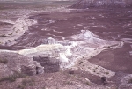 Painted Desert and Petrified Forest