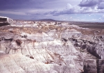 Painted Desert and Petrified Forest