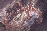 Painted Desert and Petrified Forest
