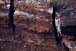 Painted Desert and Petrified Forest