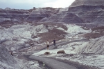 Painted Desert and Petrified Forest