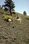 Arizona, volcanic ash mountain