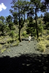 Arizona, volcanic ash mountain