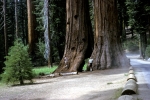 Yosemite Valley