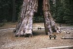 Yosemite Valley