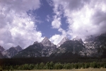 Grand Tetons