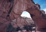 Capital Reef, N.M.