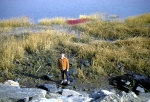 Around the house, 1968