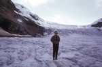 Columbia Ice Field