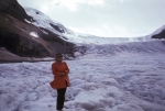 Columbia Ice Field
