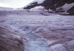 Columbia Ice Field