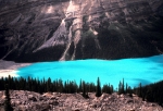 Columbia Ice Field