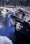 Along the Athabasca River