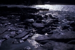 Along the Athabasca River