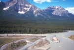Along the Athabasca River