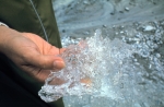Columbia Ice Field, again