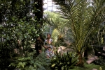 Tacoma Arboretum